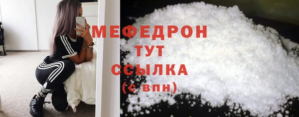 мдпв Весьегонск