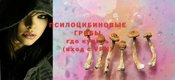 ешки Алзамай