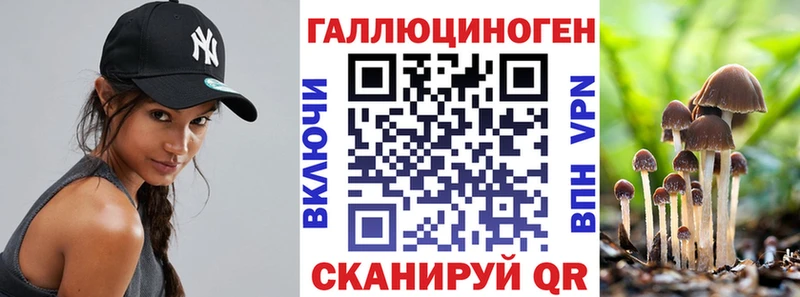 Псилоцибиновые грибы прущие грибы Дзержинский