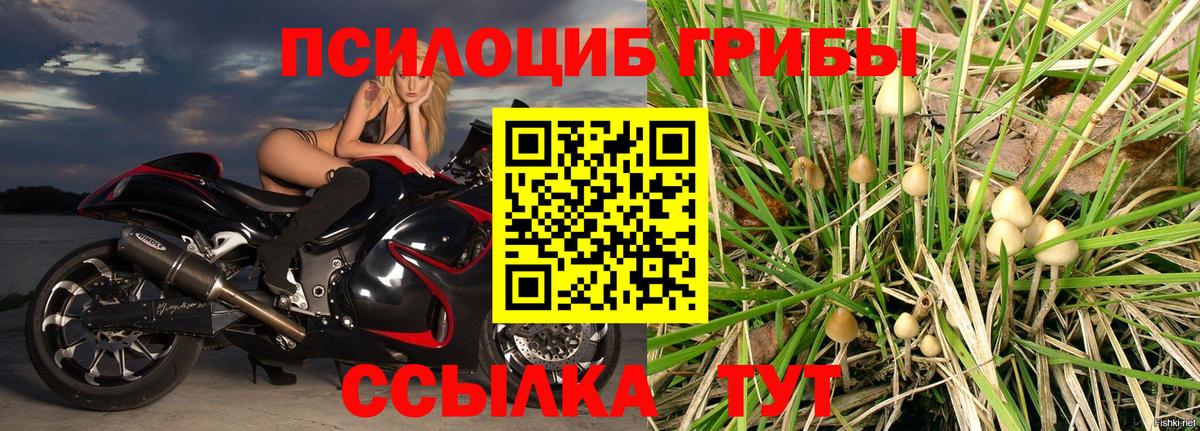Галлюциногенные грибы мухоморы Дзержинский